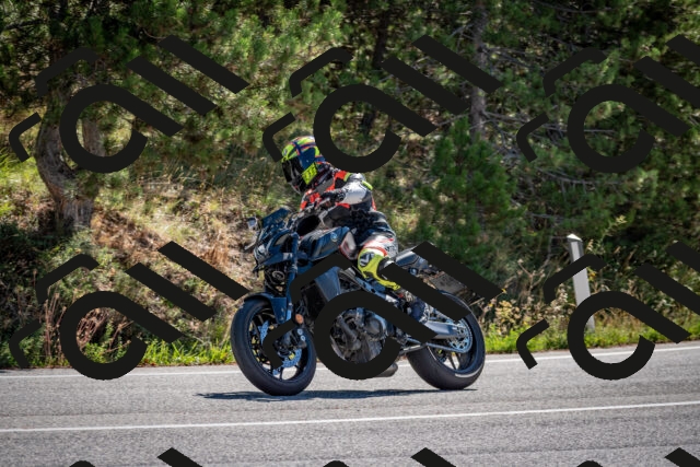 202508311049-DSC_8082_c2