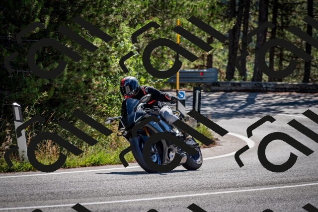 202508311049-DSC_8084_c2