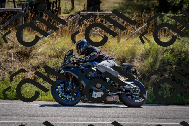 202508311049-DSC_8085_c2