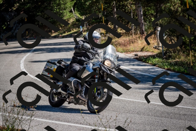 202508311050-DSC_8095_c2