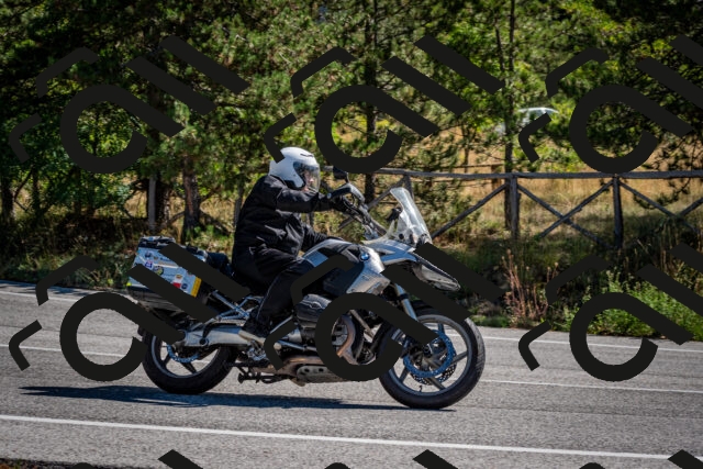 202508311050-DSC_8097_c2