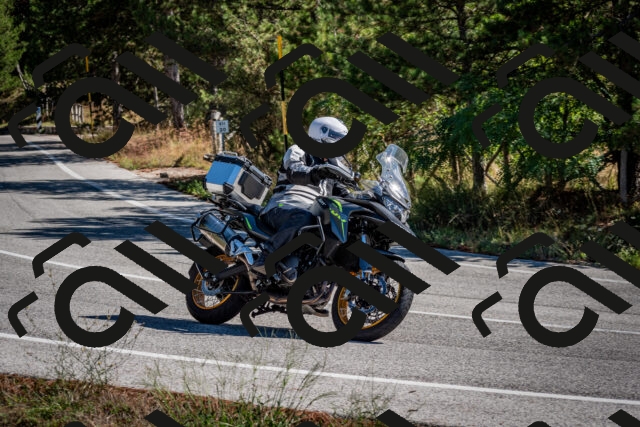 202508311050-DSC_8098_c2