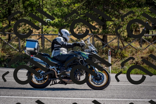 202508311050-DSC_8100_c2