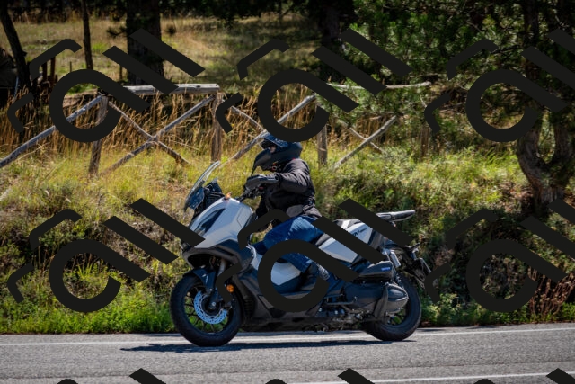 202508311050-DSC_8101_c2