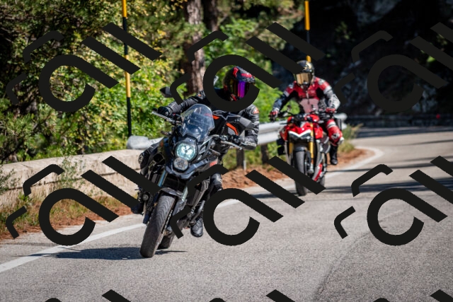 202508311051-DSC_8103_c2