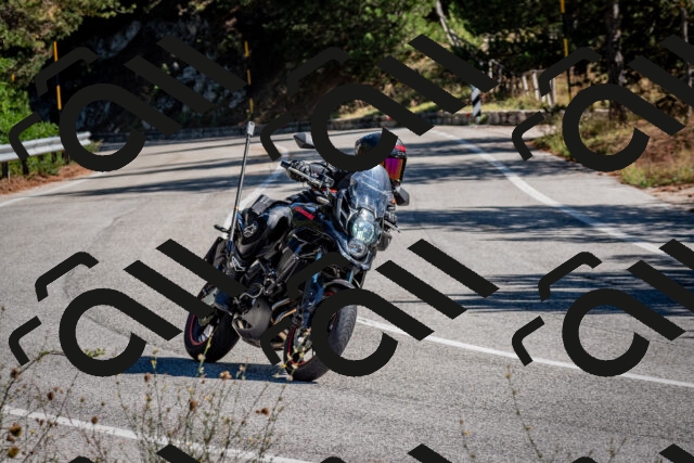 202508311051-DSC_8104_c2