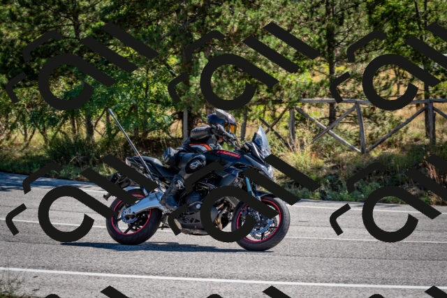 202508311051-DSC_8105_c2