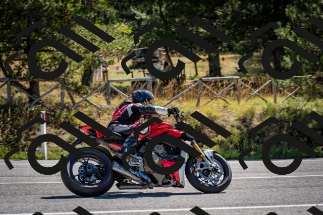 202508311051-DSC_8108_c2