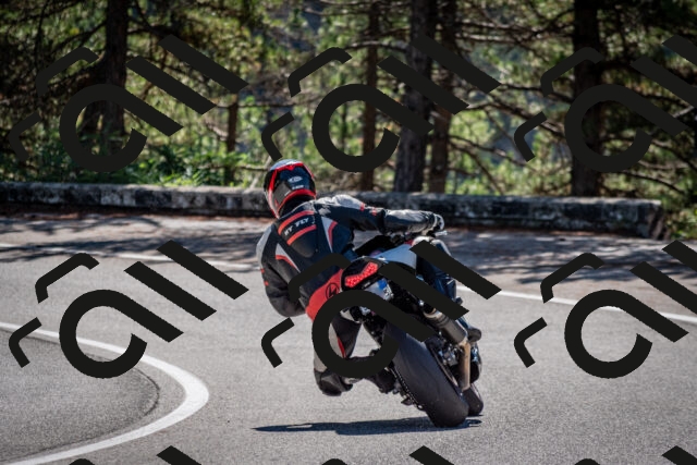 202508311051-DSC_8113_c2