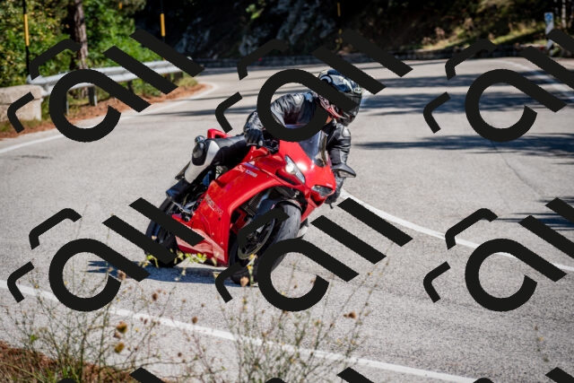 202508311052-DSC_8114_c2