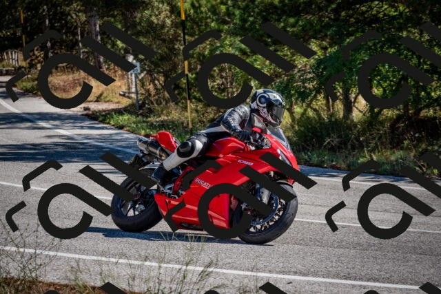 202508311052-DSC_8115_c2