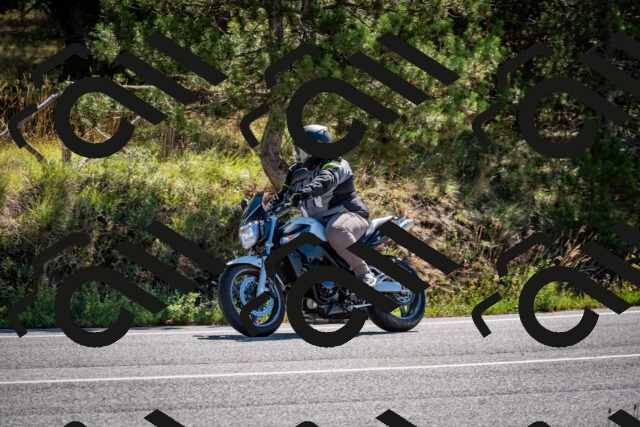 202508311052-DSC_8128_c2