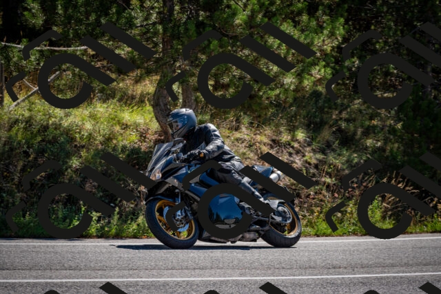 202508311055-DSC_8133_c2