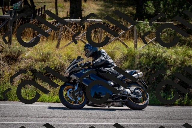 202508311055-DSC_8134_c2