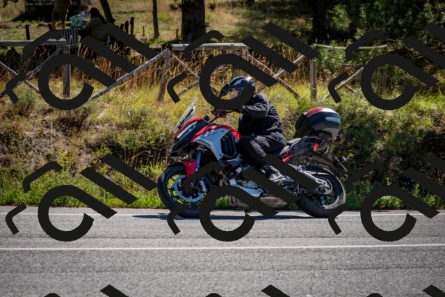 202508311055-DSC_8135_c2