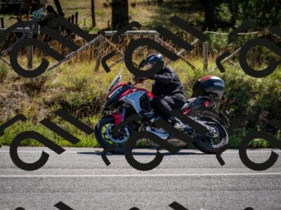 202508311055-DSC_8135_c2