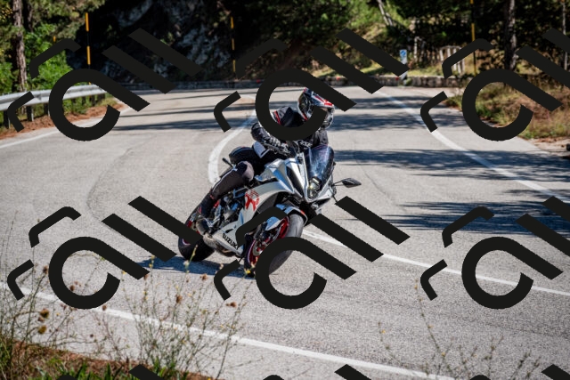 202508311055-DSC_8138_c2