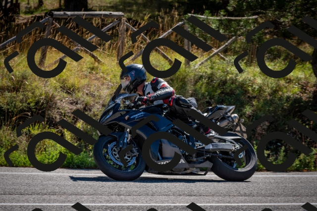 202508311056-DSC_8142_c2