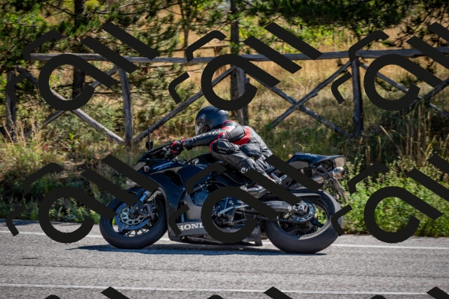 202508311056-DSC_8143_c2