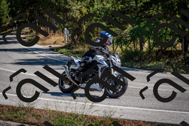 202508311056-DSC_8145_c2