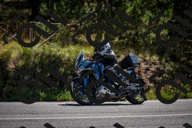 202508311059-DSC_8220_c2