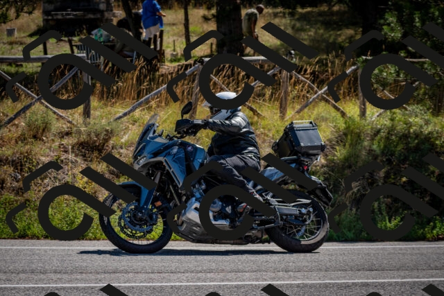 202508311059-DSC_8221_c2