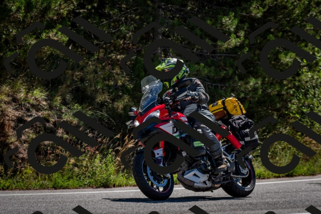 202508311100-DSC_8225_c2