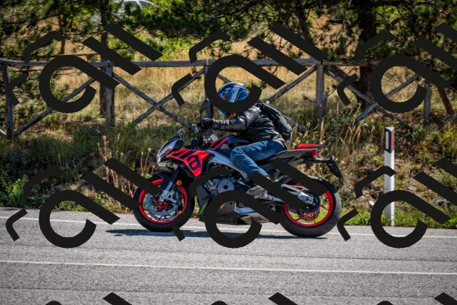 202508311100-DSC_8232_c2