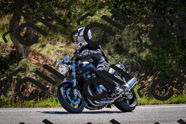 202508311100-DSC_8248_c2