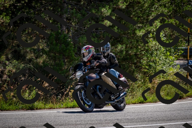 202508311100-DSC_8265_c2