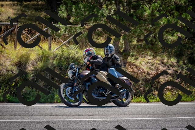 202508311100-DSC_8266_c2