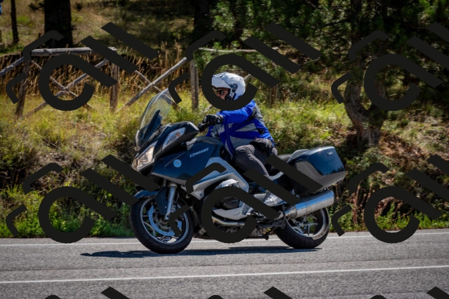 202508311100-DSC_8274_c2