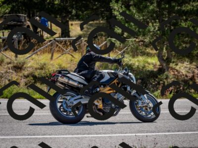 202508311100-DSC_8280_c2