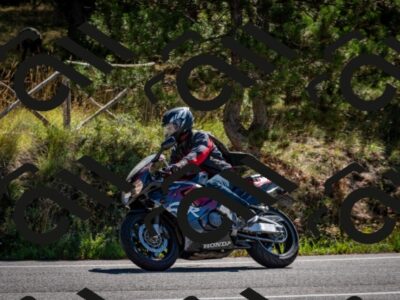 202508311101-DSC_8286_c2