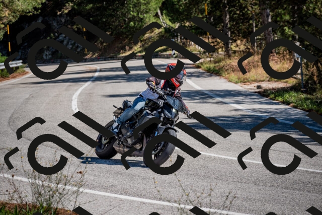 202508311103-DSC_8301_c2