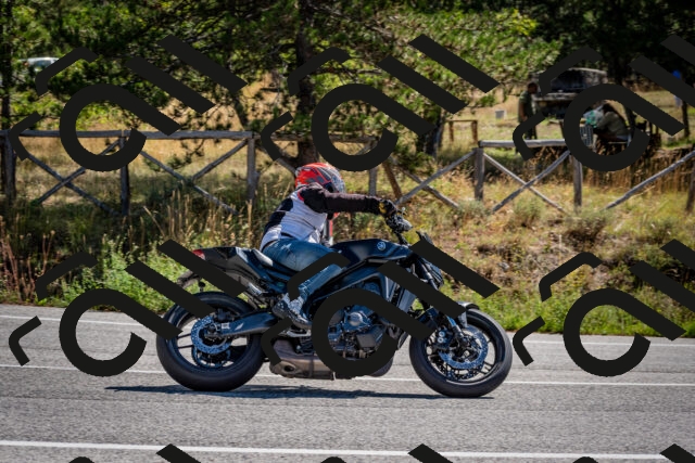 202508311103-DSC_8303_c2