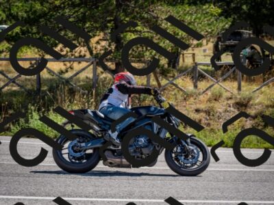 202508311103-DSC_8303_c2