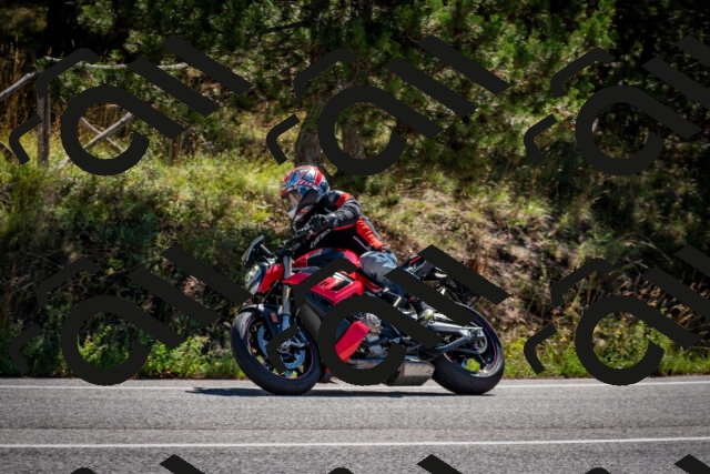 202508311103-DSC_8307_c2