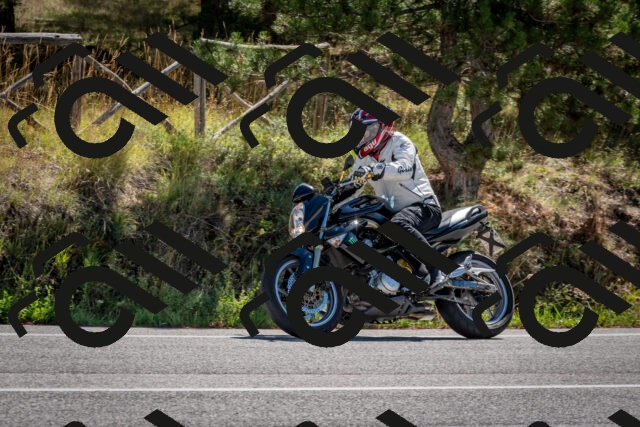 202508311103-DSC_8309_c2