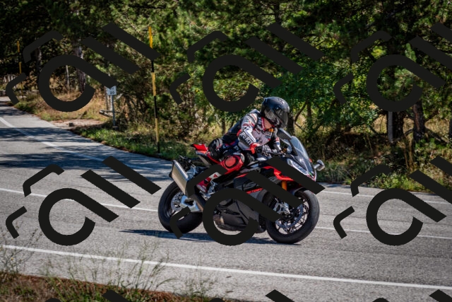 202508311103-DSC_8314_c2