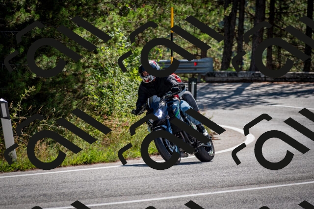 202508311104-DSC_8328_c2