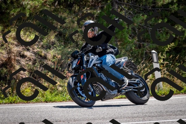 202508311104-DSC_8339_c2