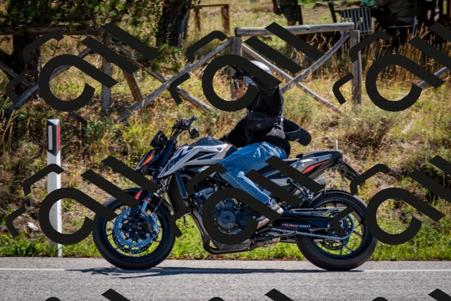 202508311104-DSC_8340_c2