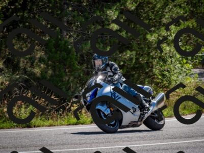 202508311104-DSC_8342_c2