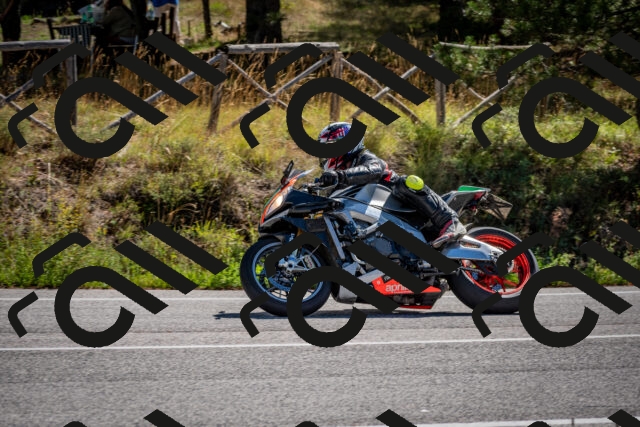 202508311104-DSC_8345_c2