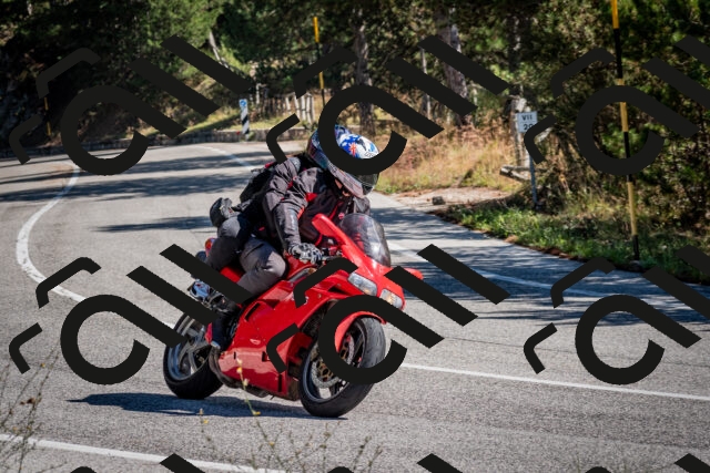 202508311106-DSC_8375_c2