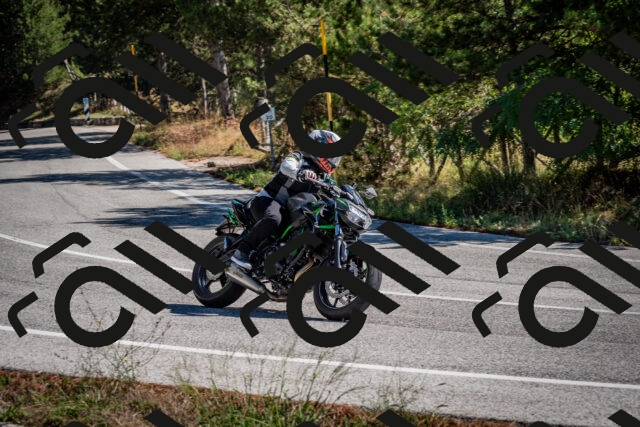 202508311106-DSC_8378_c2