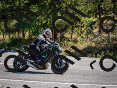 202508311106-DSC_8379_c2