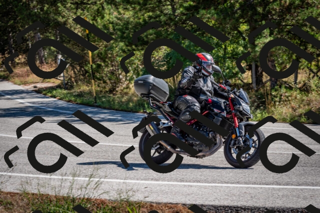 202508311106-DSC_8387_c2