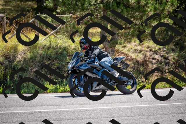 202508311107-DSC_8393_c2